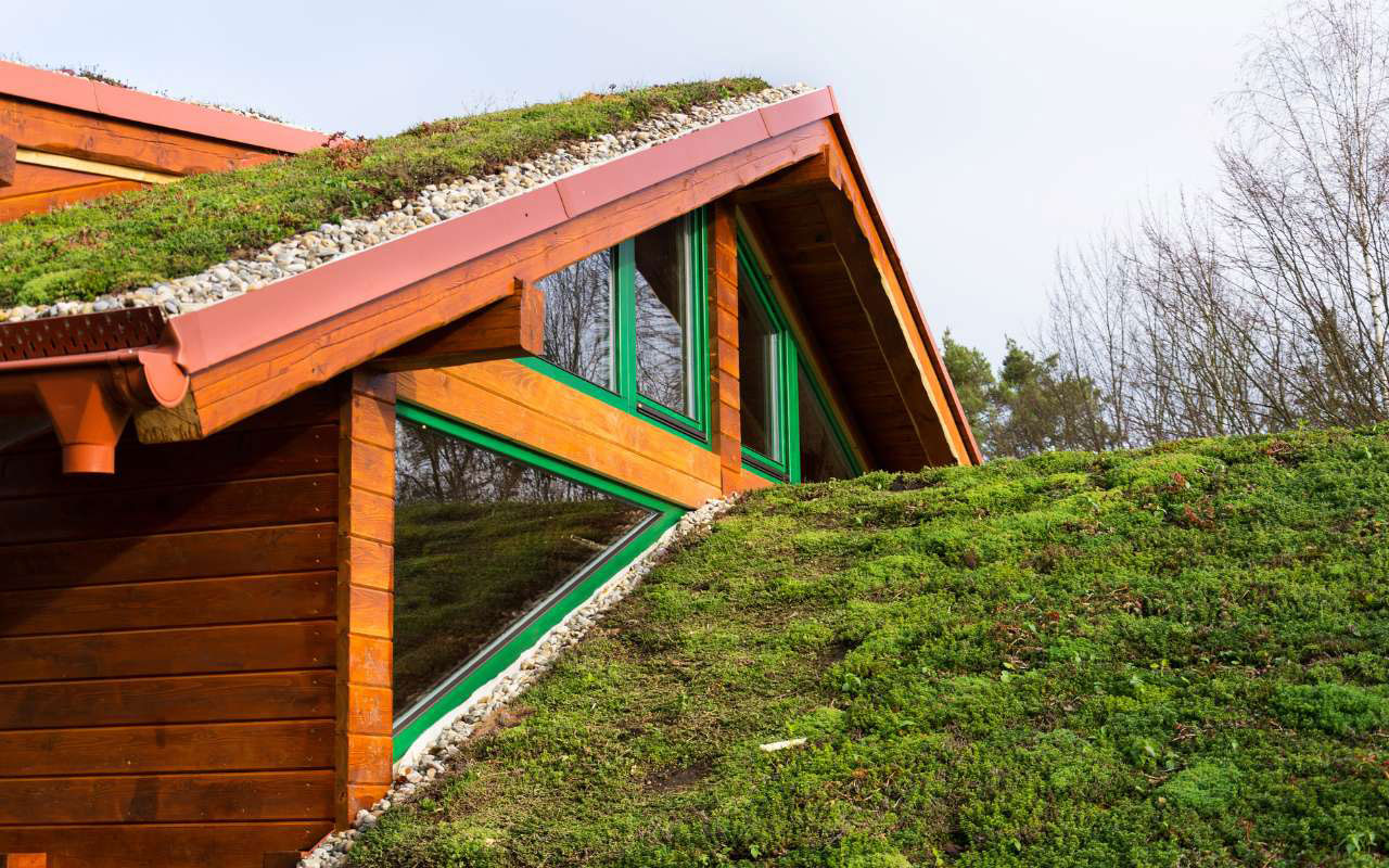 Installation of a green roof in the Bronx home.